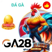 cv88 Game 02